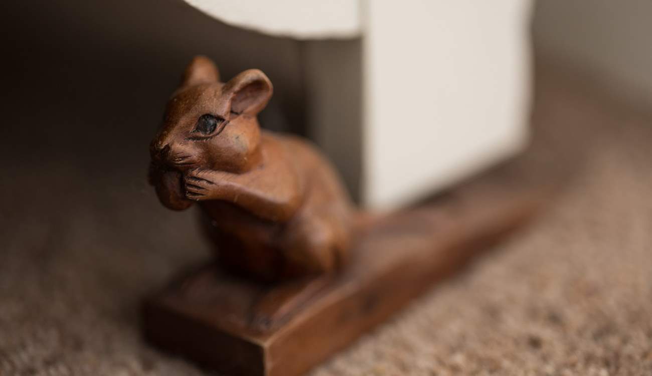 See if you can find the little mouse!