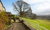 The garden overlooks the hamlet of Simonstone and plenty of sheep. - Thumbnail Image