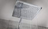 With rainfall shower. - Thumbnail Image