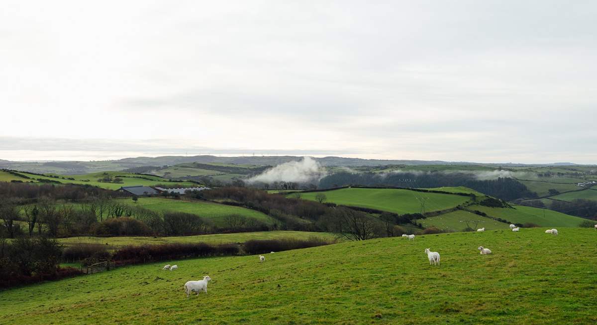 The idyllic view from the cottage, reaching as far as Snowdon and across the Llyn peninsula. 