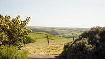 Gorgeous Cwmcaseg is ideal for walkers, explorers, beach seekers or those simply longing to get-away-from-it-all. 