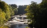 Aysgarth Falls is a great place to visit and enjoy the tumbling water. - Thumbnail Image