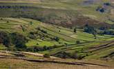 Swaledale, a great place to explore and with many walks you can enjoy. - Thumbnail Image