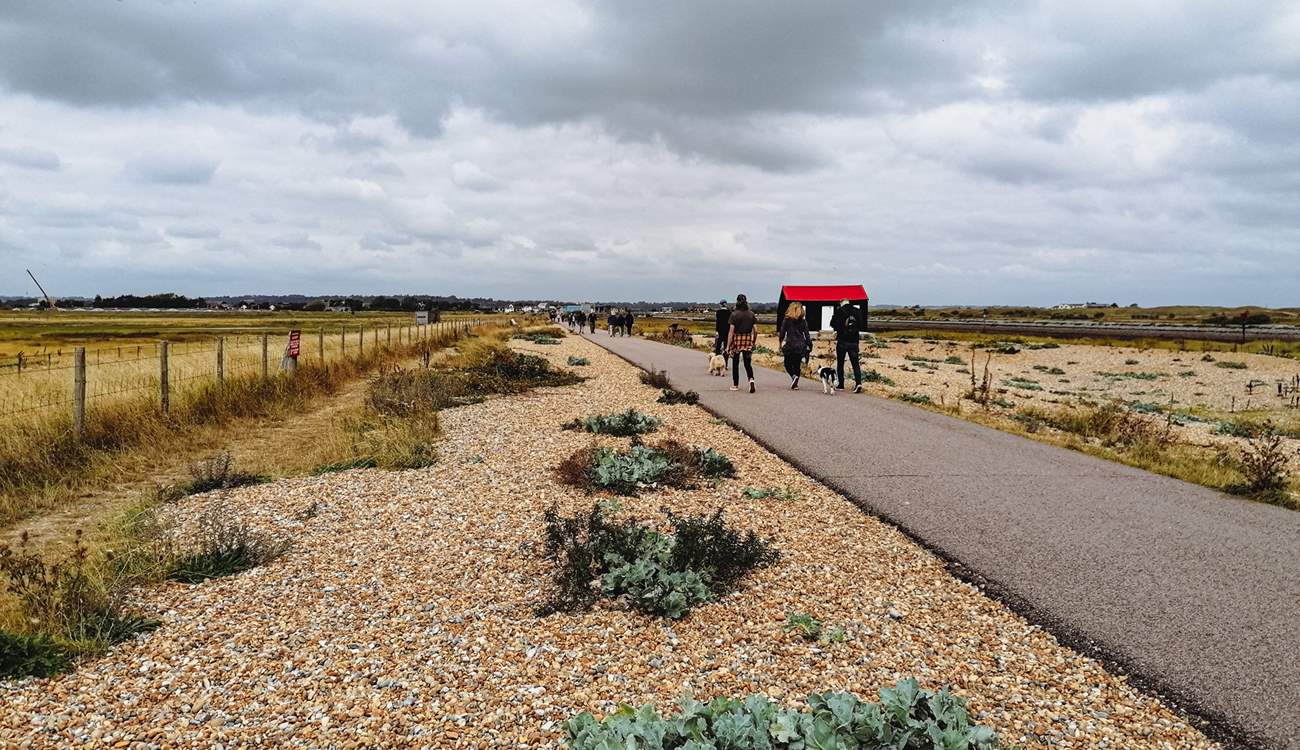 Enjoy a walk or cycle ride along Rye Harbour Nature Reserve.