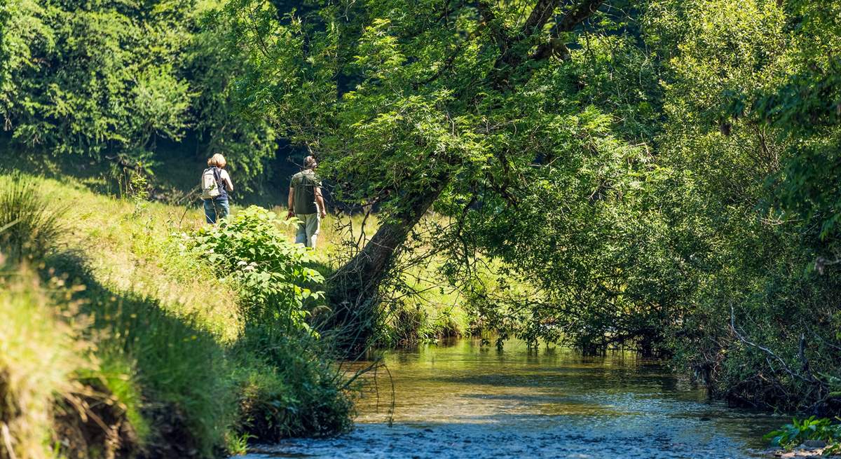 In under an hour in the car you can be in Exmoor National Park.