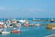 Bustling Newlyn harbour, stop and buy the best catch of the day, pop back to Love Lane and cook up a feast.