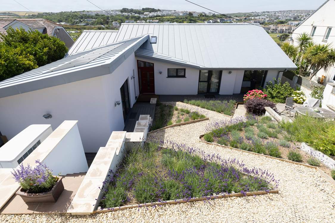 A winding path through the lavender leads to your front door.