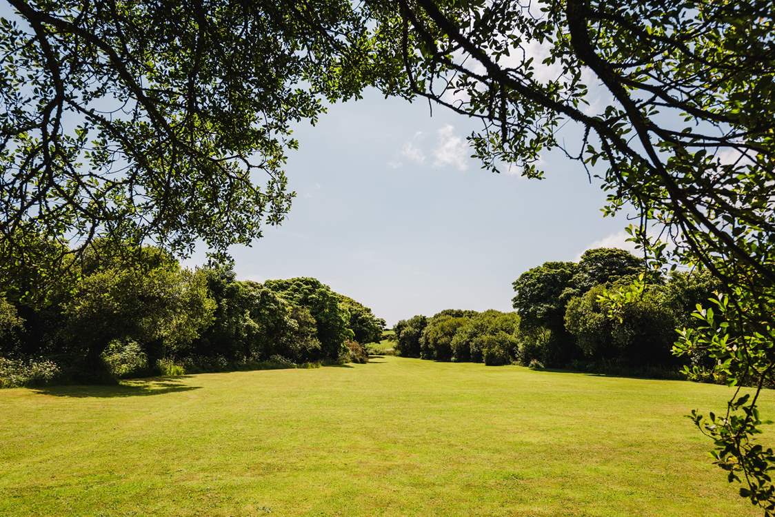 Pack a picnic and enjoy lunch on the lawn.
