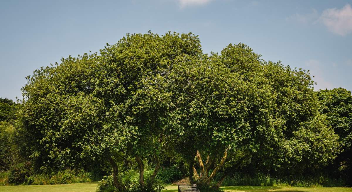 This hamlet is perfect for those who appreciate nature and wildlife.