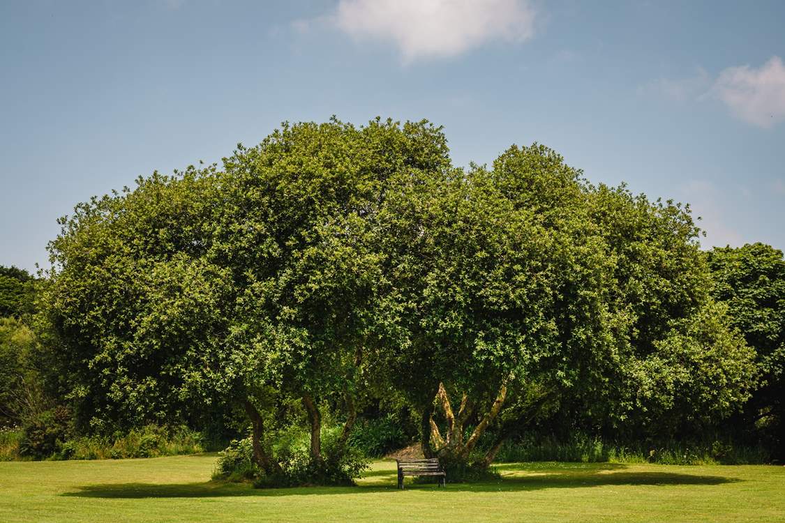 This hamlet is perfect for those who appreciate nature and wildlife.