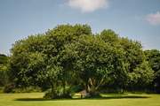 This hamlet is perfect for those who appreciate nature and wildlife.