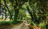 Roskennels Granary is accessed by a private narrow lane passing over the river. - Thumbnail Image