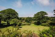 Enjoy a picnic within the grounds as there are so many tranquil spots to chose from.