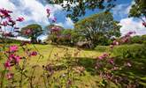 Such stunning land and native plants at every glance. - Thumbnail Image