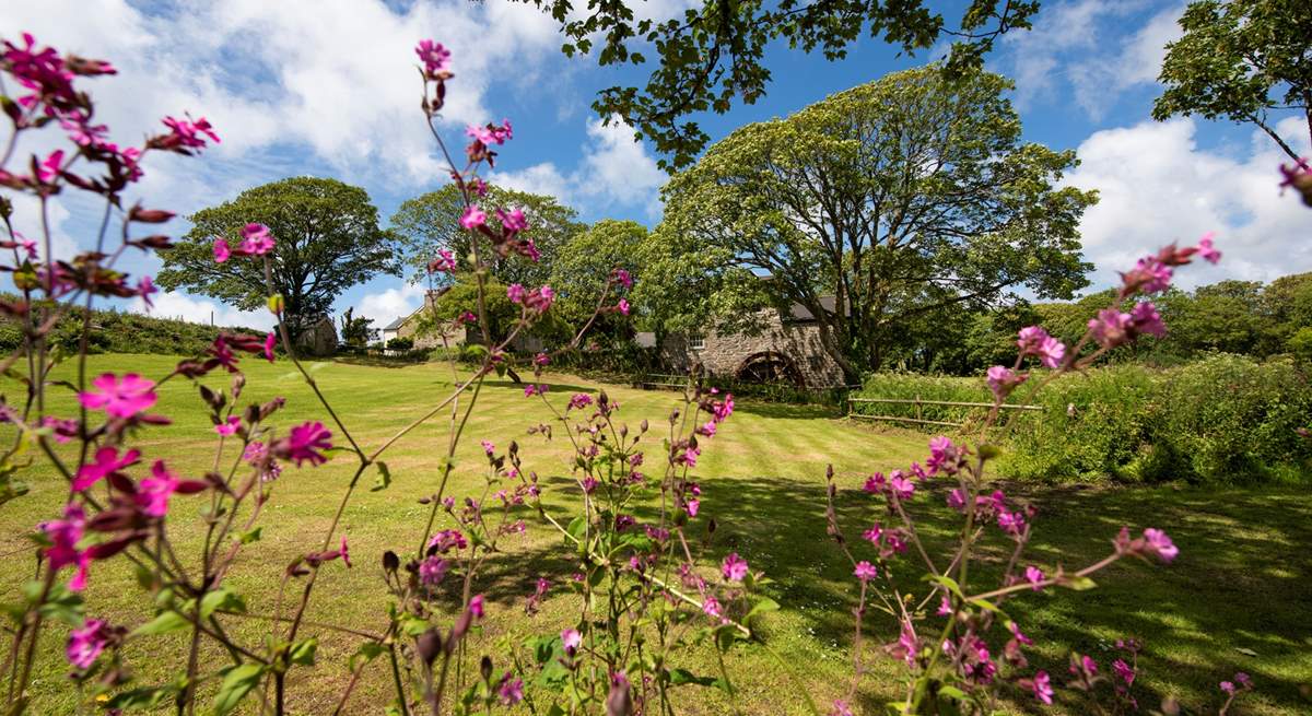 Such stunning land and native plants at every glance.