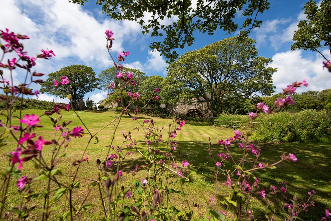 Such stunning land and native plants at every glance.