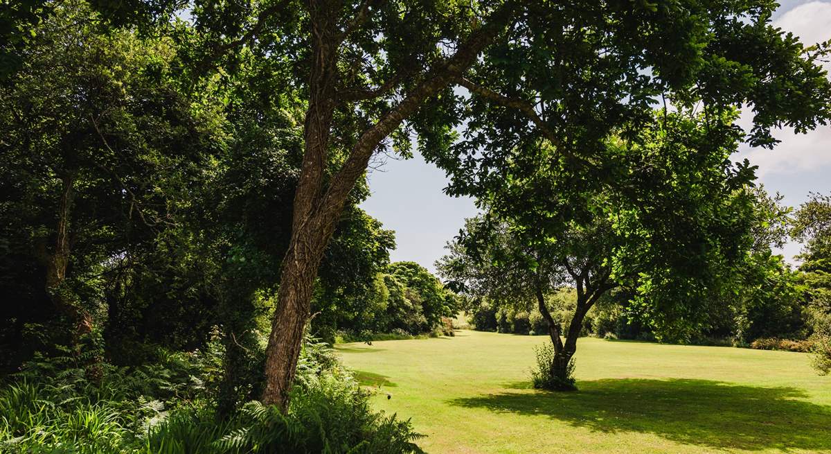 Ancient trees, native plants and a meandering stream, a nature lover's haven.