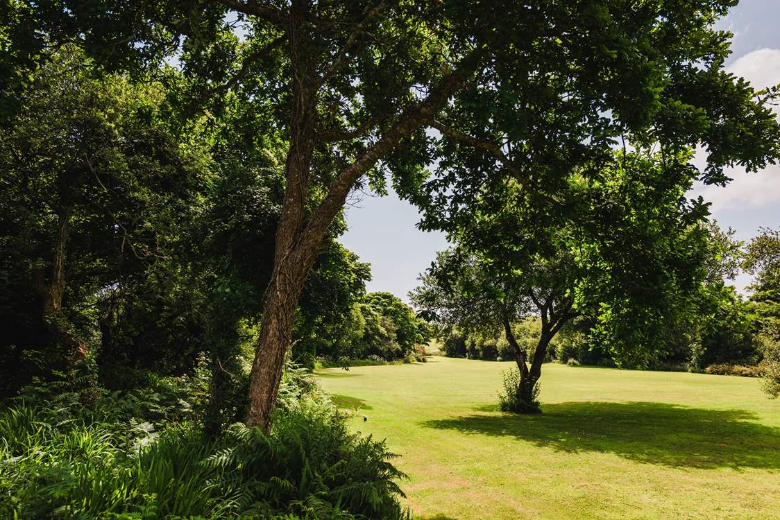 Ancient trees, native plants and a meandering stream, a nature lover's haven.