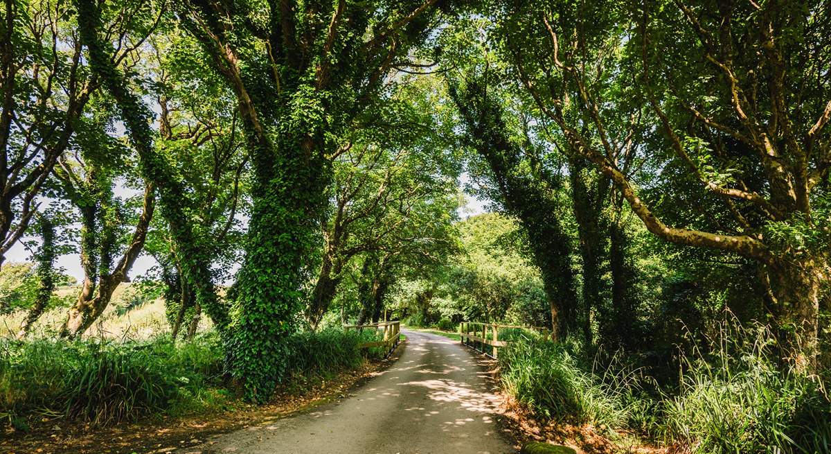 A private lane that passes over the river welcomes you to this tranquil cottage.