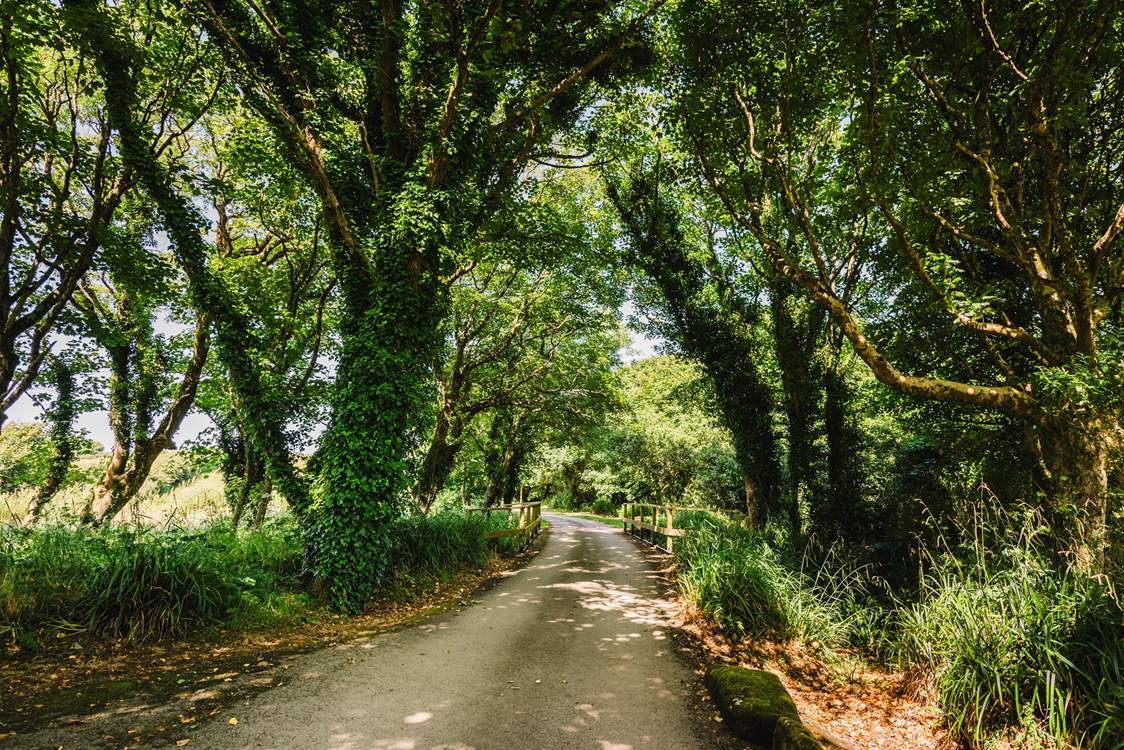 A private lane that passes over the river welcomes you to this tranquil cottage.
