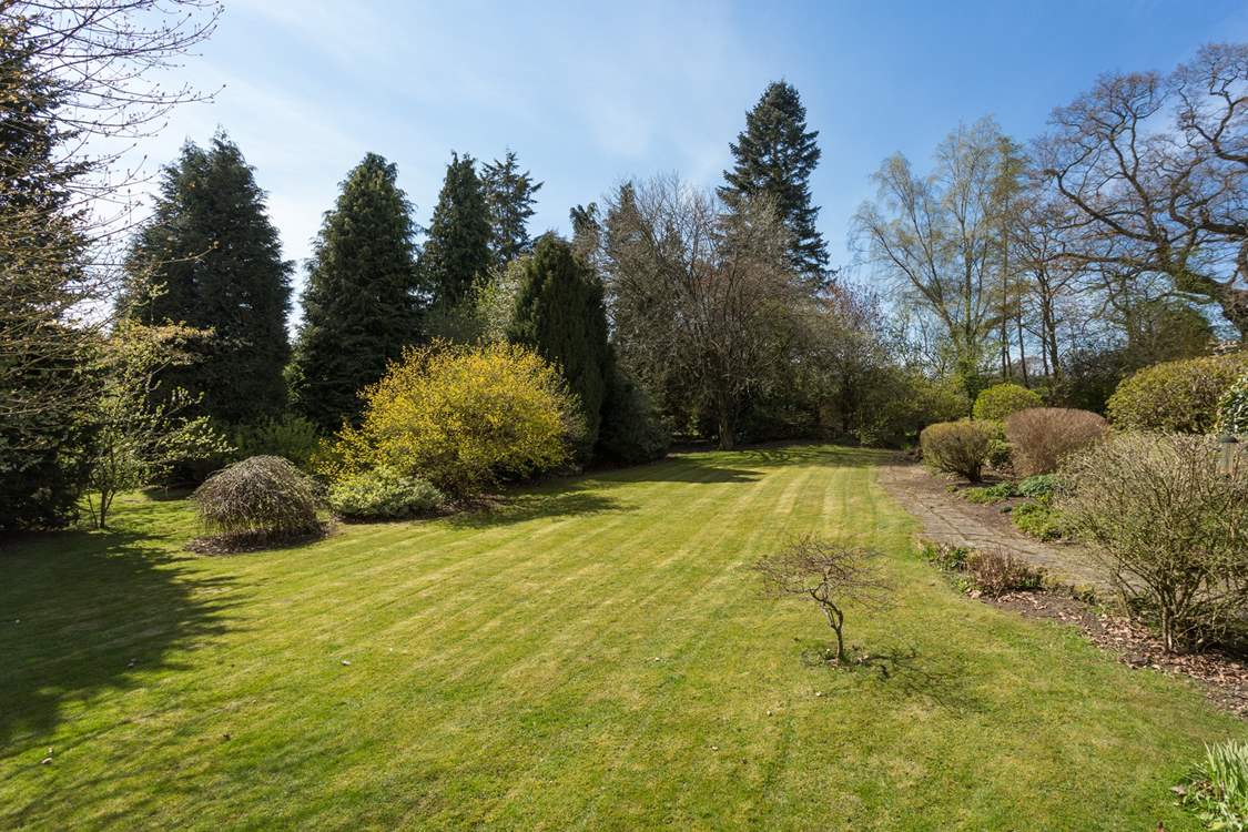 Lots of room to wander.