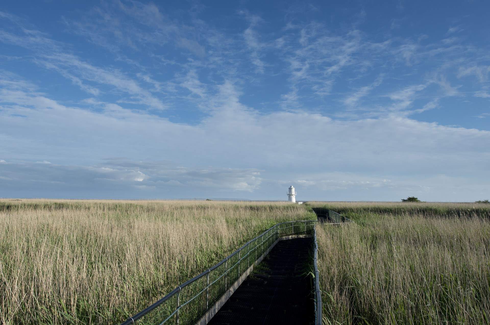 Newport nature reserve is close by and ideal for those nature lovers.