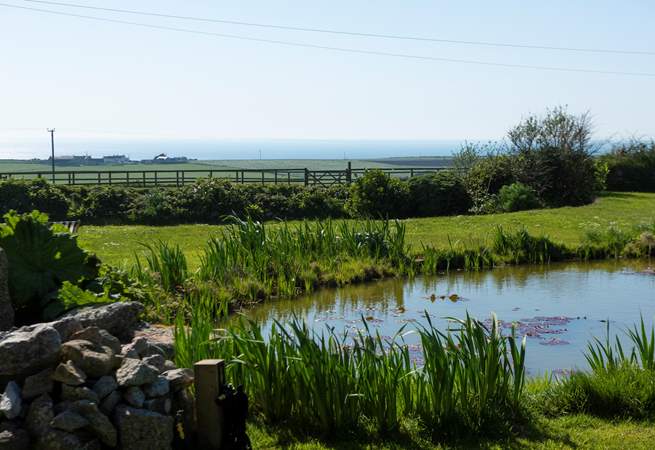 The location of this pretty cottage is perfect for walkers, nature lovers and anyone wanting that special sea view.