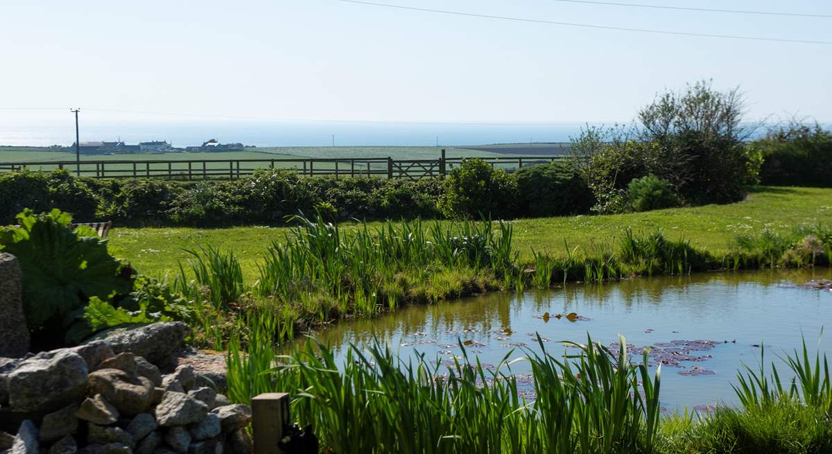The location of this pretty cottage is perfect for walkers, nature lovers and anyone wanting that special sea view.