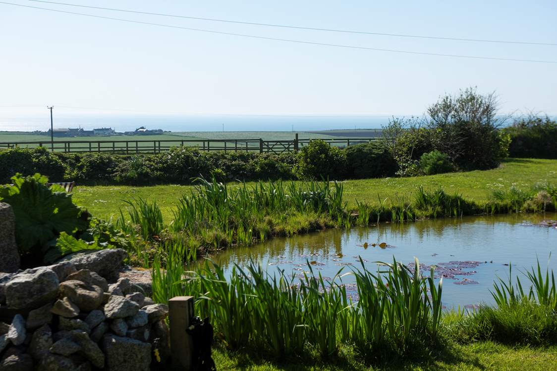 The location of this pretty cottage is perfect for walkers, nature lovers and anyone wanting that special sea view.