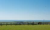 Picture perfect, do not forget your camera. - Thumbnail Image