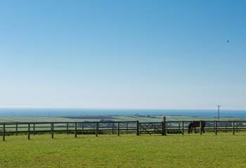 Picture perfect, do not forget your camera.