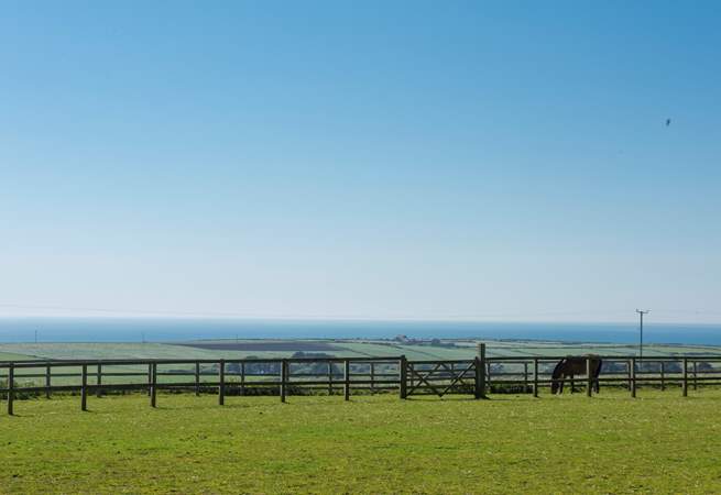 Picture perfect, do not forget your camera.