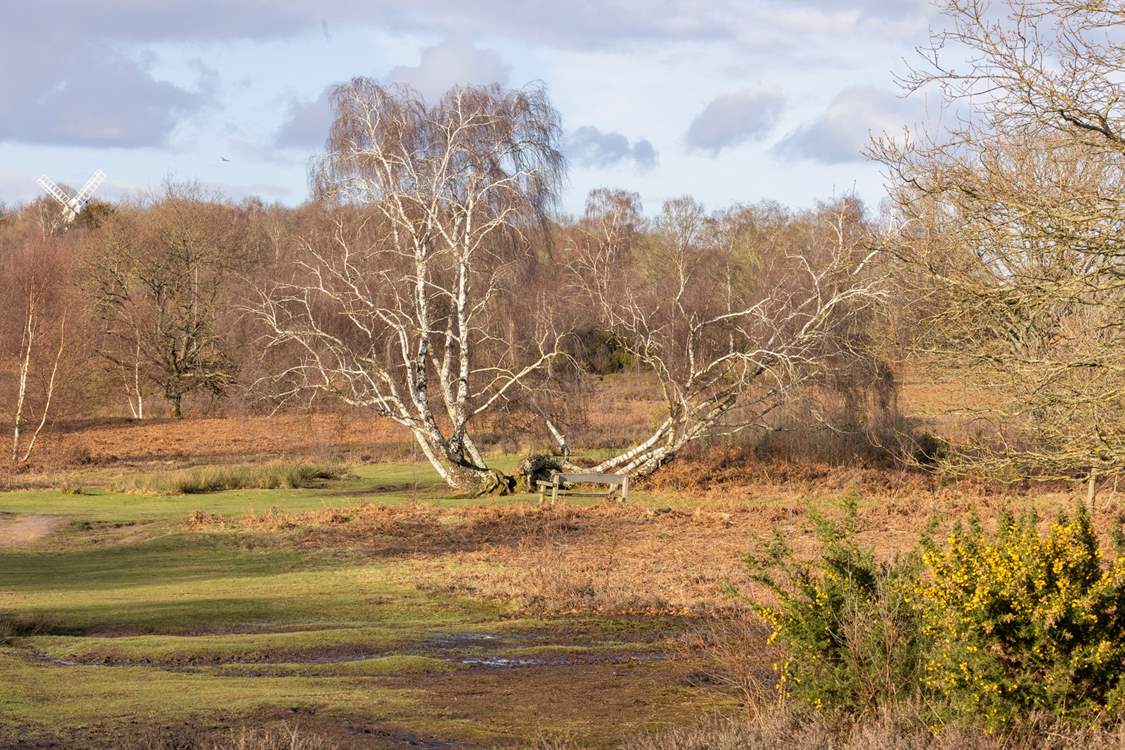 Pack your hiking boots and explore this glorious countryside.