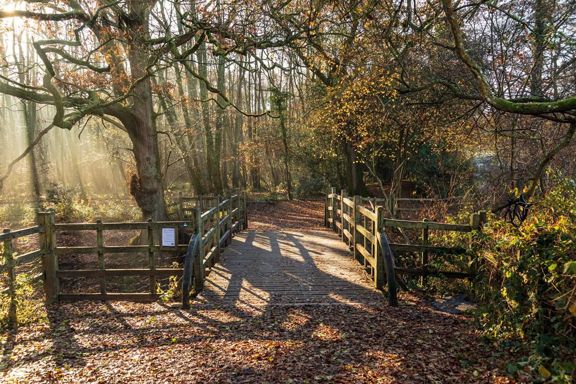 Enjoy walks in the Ashdown Forest - home to Winnie the Pooh!