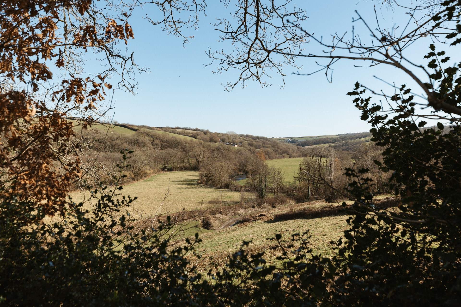 Enjoy sweeping vistas of rolling green pastures.