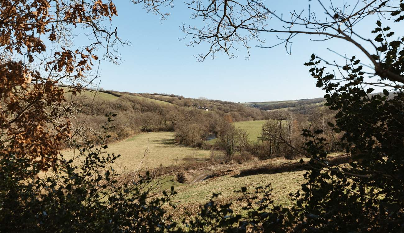 Enjoy sweeping vistas of rolling green pastures.