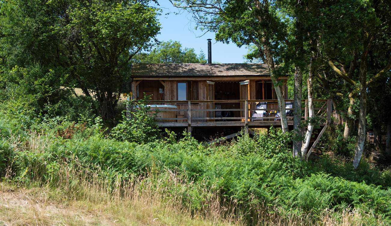 A cosy treetop escape for two.
