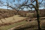 Enjoy rolling countryside views.