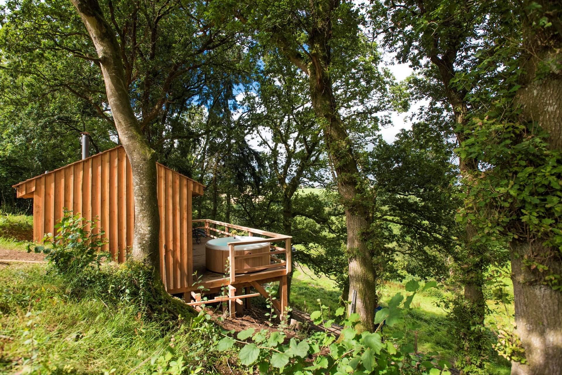Your hidden hideaway within the trees. 