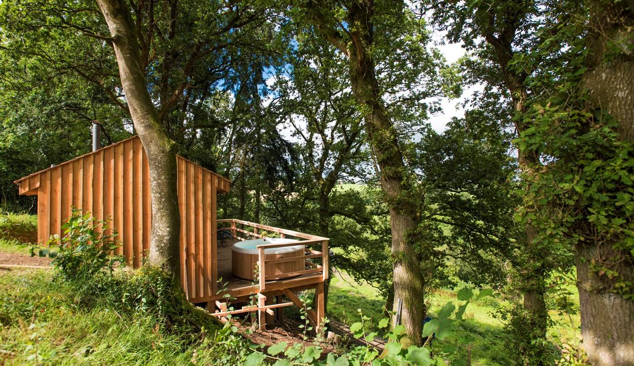 Your hidden hideaway within the trees. 