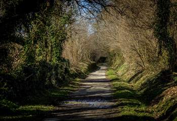 Situated alongside the renowned Camel Trail, perfect for a daily stroll or bike ride. There are a few bikes for you to borrow at the cottage.