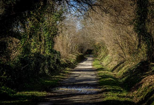 Situated alongside the renowned Camel Trail, perfect for a daily stroll or bike ride. There are a few bikes for you to borrow at the cottage.