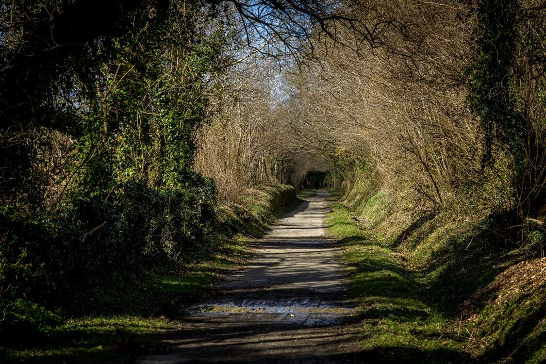 Situated alongside the renowned Camel Trail, perfect for a daily stroll or bike ride. There are a few bikes for you to borrow at the cottage.