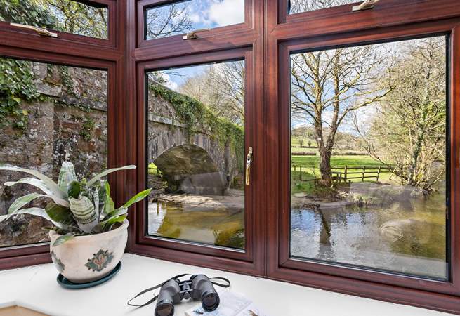 The perfect place to spot bird and wildlife.