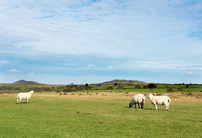Pop on those walking boots and explore the dramatic landscape of Bodmin Moor.