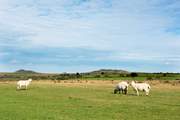 Pop on those walking boots and explore the dramatic landscape of Bodmin Moor.