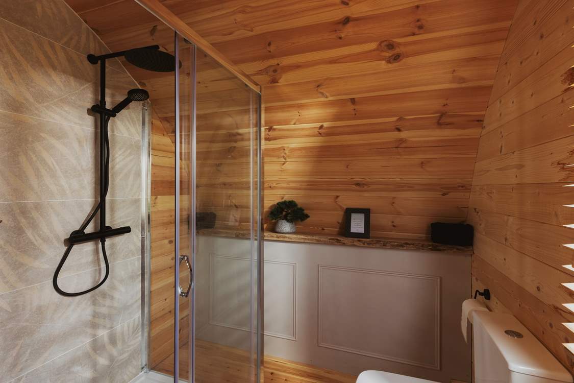 The rainfall shower is simply a dream.