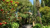 Visit nearby Ventnor Botanic Garden, known for its collection of subtropical plants.