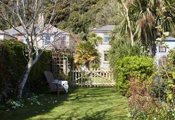 Bathed in Ventnor's golden sunshine, the south-facing garden is a haven for sun-drenched afternoons.