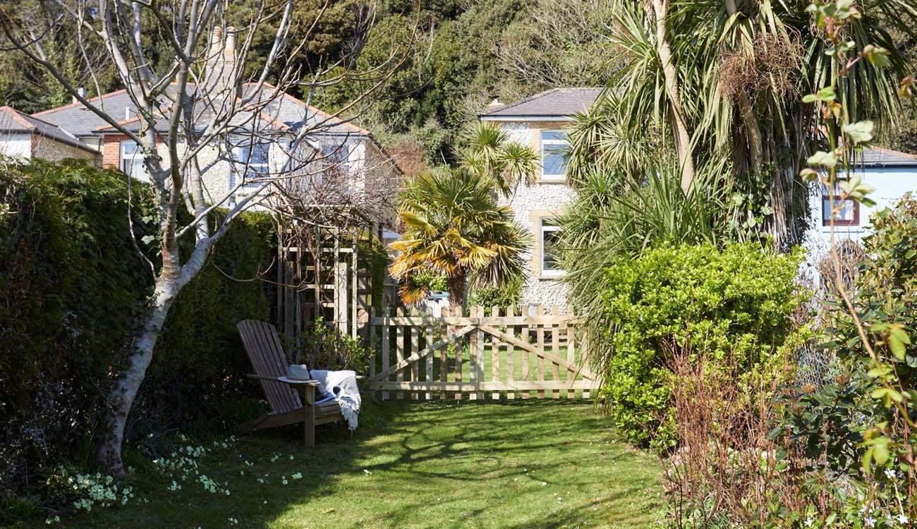 Bathed in Ventnor's golden sunshine, the south-facing garden is a haven for sun-drenched afternoons.